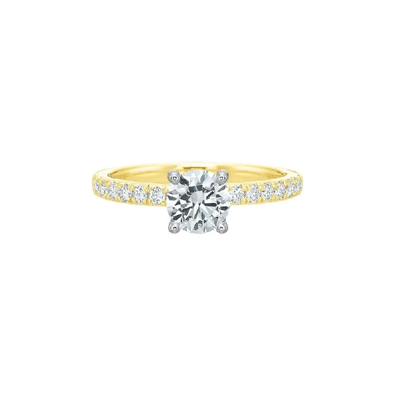 classic and elegant engagement rings-Diamond Setting