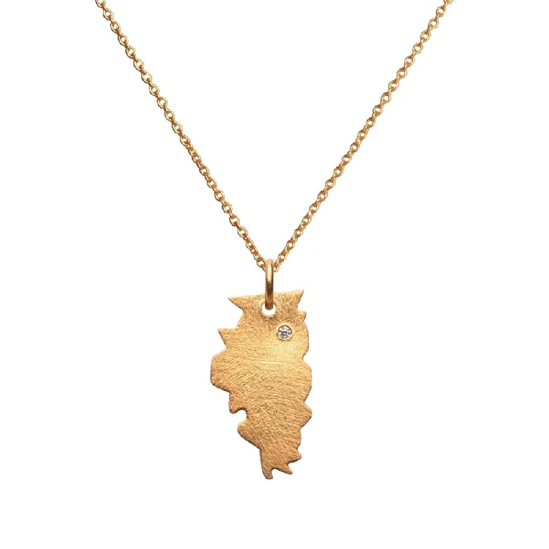 women’s delicate charm necklaces-Roam Necklace - Illinois